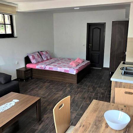 Villa Helena 奥赫里德 外观 照片